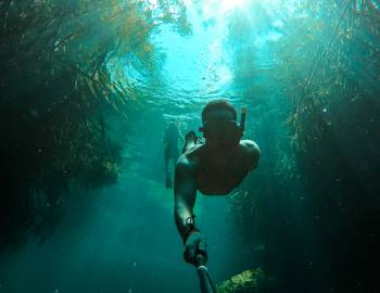 Cenote snorkel
