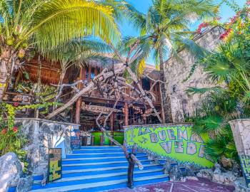 entrance of la buena vida with canopy of palm trees and blue stairs to door