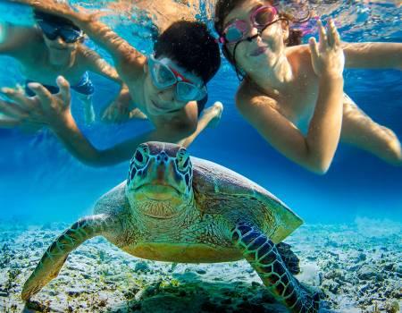 Kids Experiences in the Riviera Maya