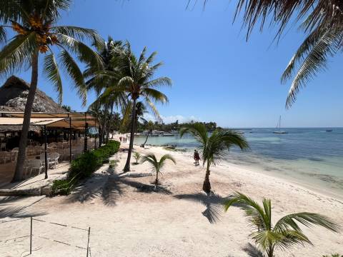Sargasso receding from Akumal Bay