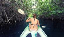 Explore cenotes