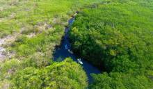 Casa Cenote Paddleboard