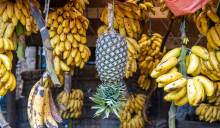 Fruit market