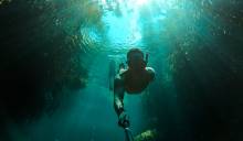 Cenote snorkel