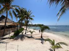Sargasso receding from Akumal Bay