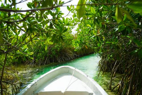 Sian Kaan Tour Tulum